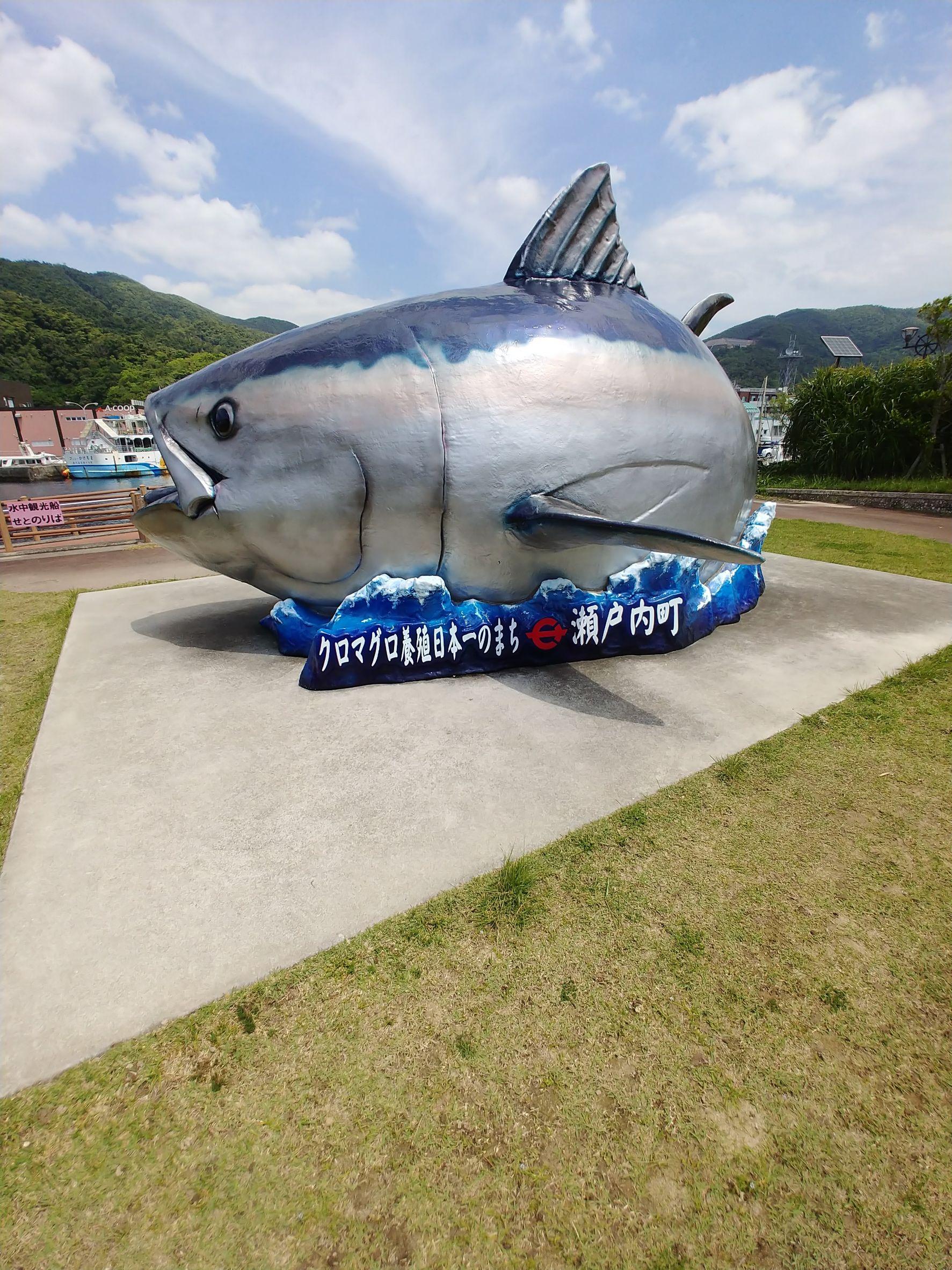 我が家の多忙な趣味