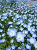 写真2.jpg
