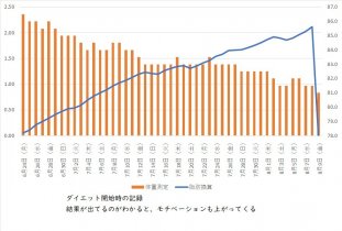 ダイエット　戦略係　増田将也