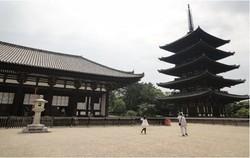 大人の修学旅行（興福寺）